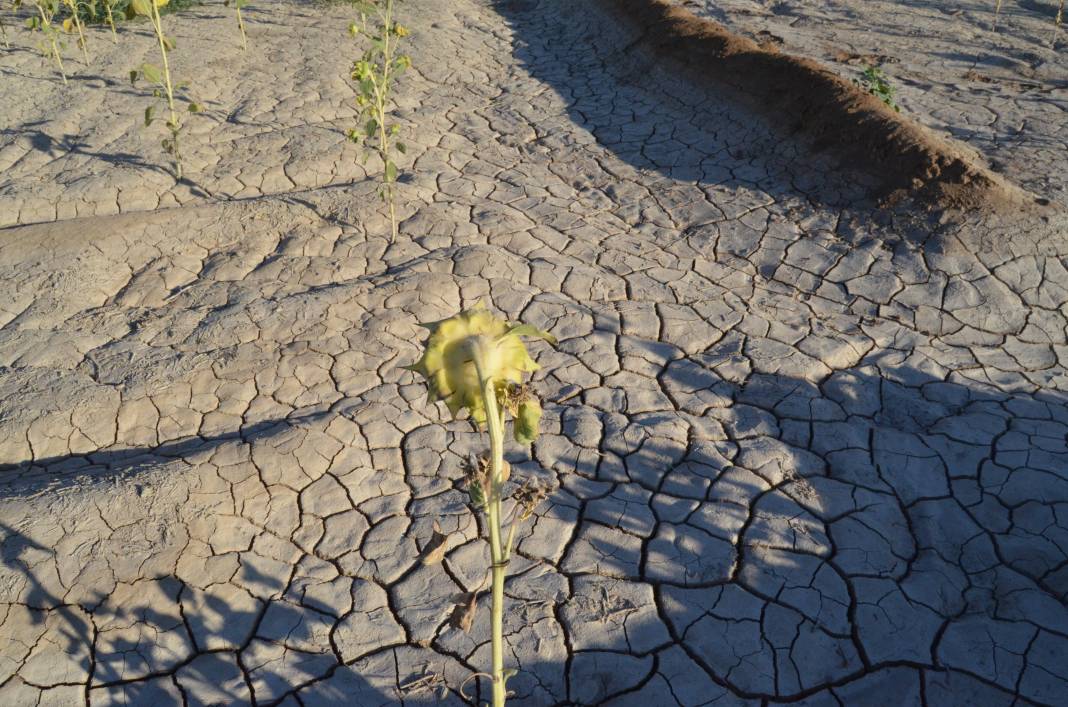 Yer altından fışkıran suyun sırrı çözüldü! Konya Ovası tehlikede 7